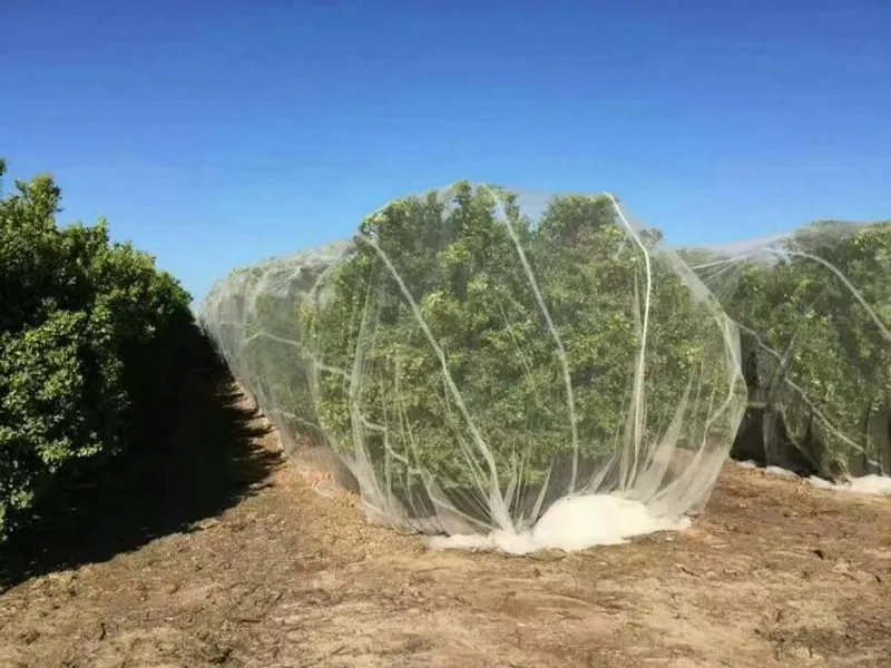 Anti Insect Net