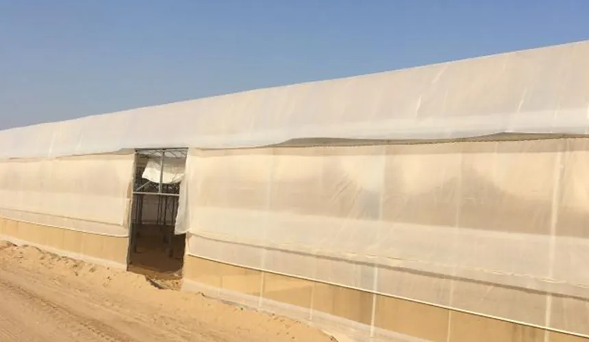Application of Insect-Proof Nets in Greenhouses in African Desert Areas