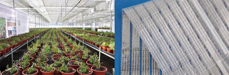 How much do you know about the transparency rate of greenhouse shading nets? How much do you know about the transparency rate of greenhouse shading nets?