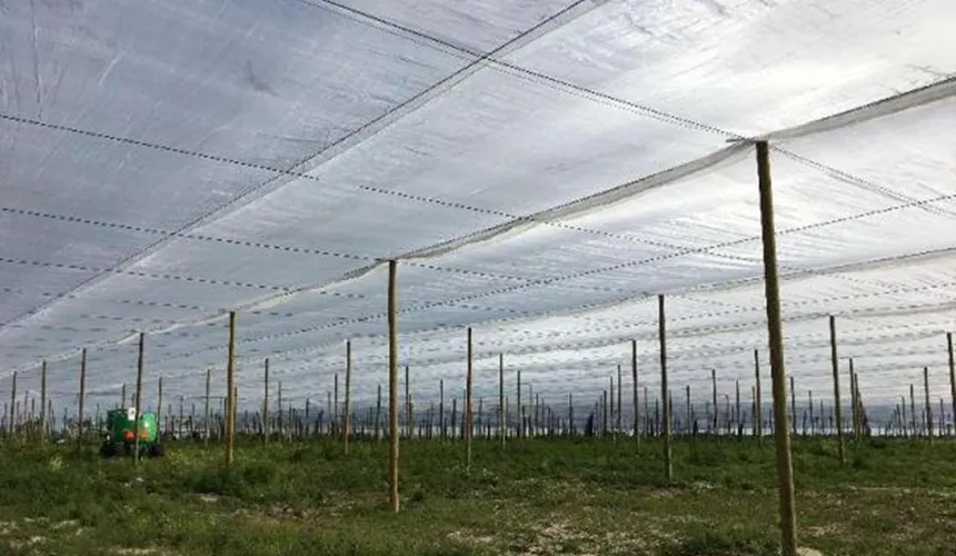 Florida Citrus Insect Screen