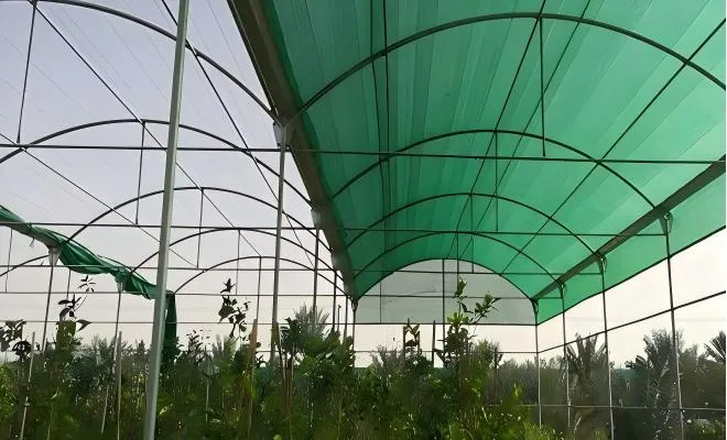 How Much Do You Know about the Transparency Rate of Greenhouse Shading Nets?