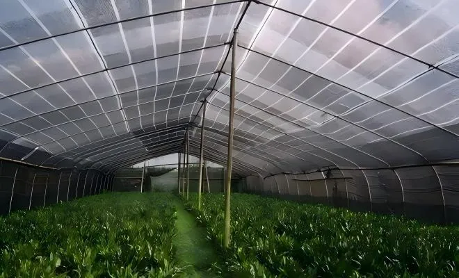 How to Store Shading Nets After Use?