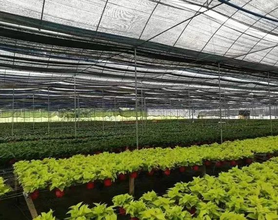 agricultural shade netting