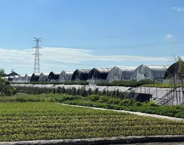 Aluminum Shade Net