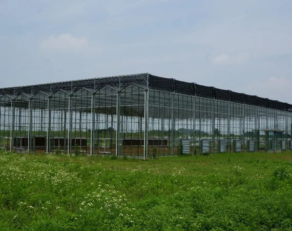 anti insect net for agriculture