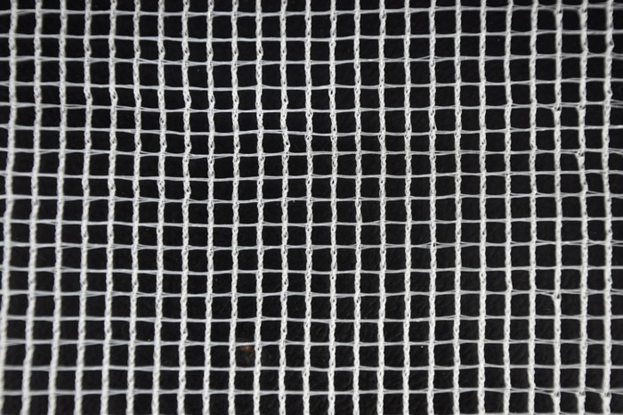 Netting for Strawberry Plants