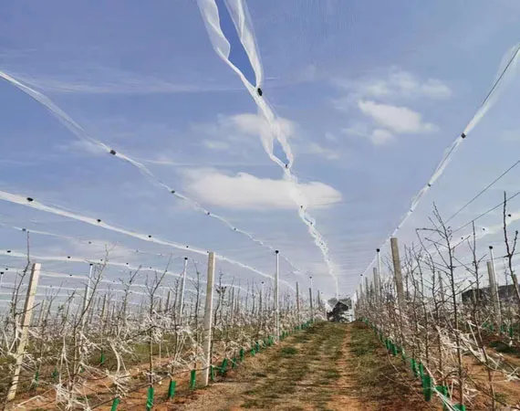 nylon anti bird net