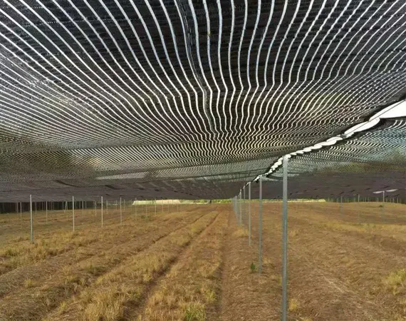 shade netting for chickens