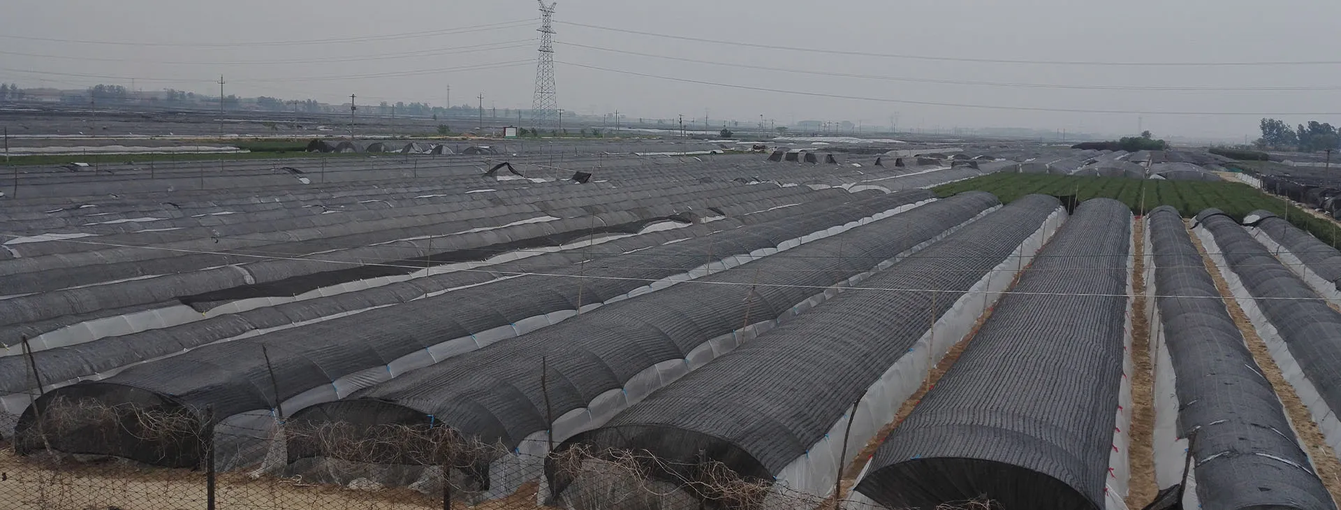 Other Agricultural Net Accessories