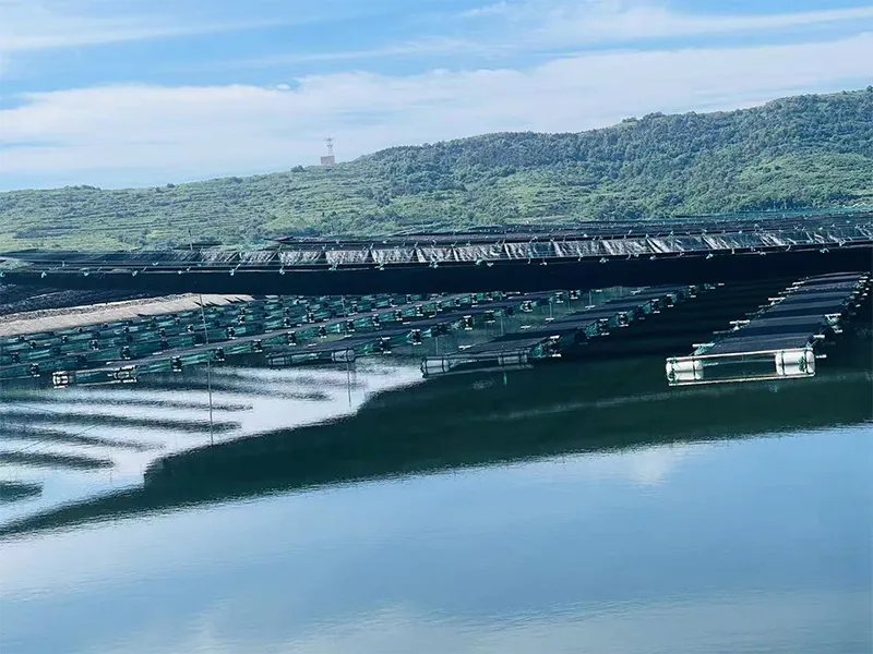Shade Net for Aquaculture