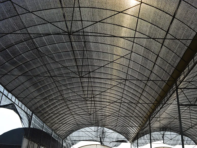 Shade Net for Chinese Medicinal Herbs