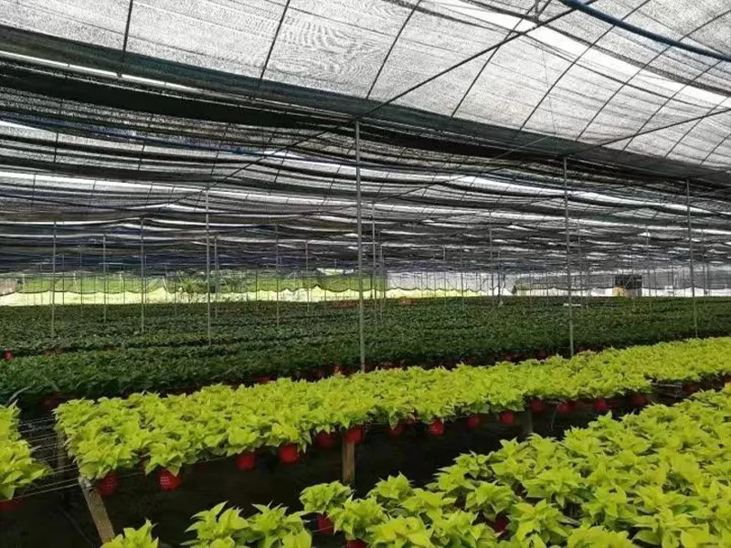 Shade Net for Flowers
