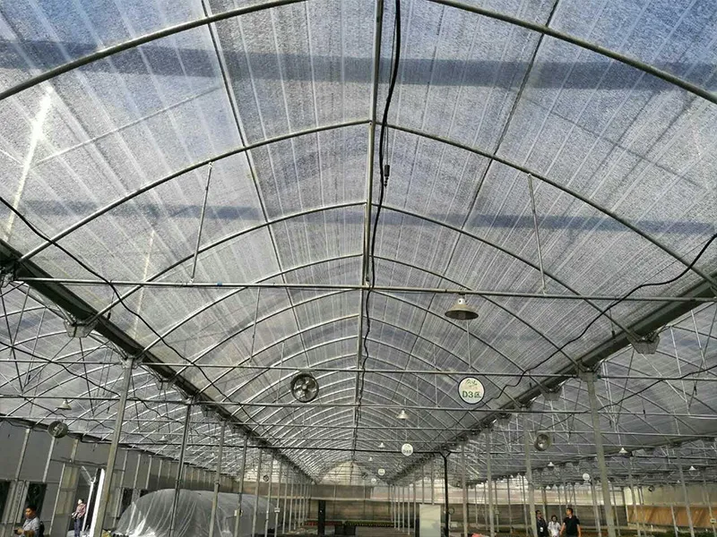 Shade Net for Vegetables