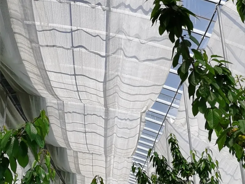 Shade Nets for Berry Crops