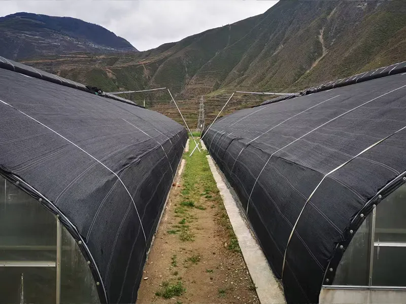 Sunshade Nets For Regulating Plant Growth
