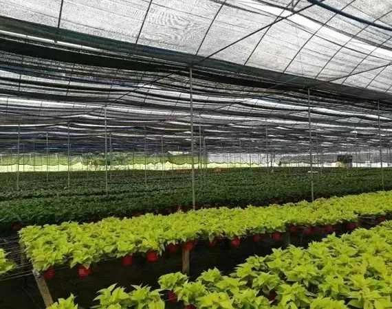 Shade Net for Flowers