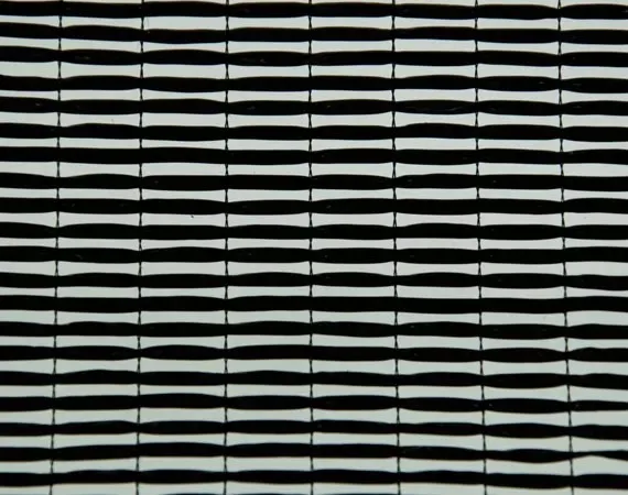 Shade Net for Vegetables