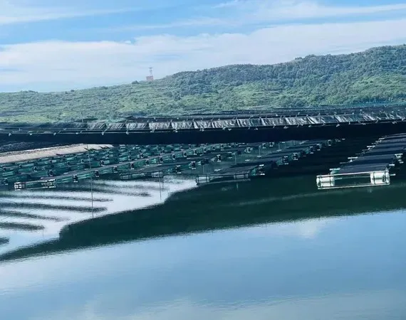 Shade Net for Aquaculture