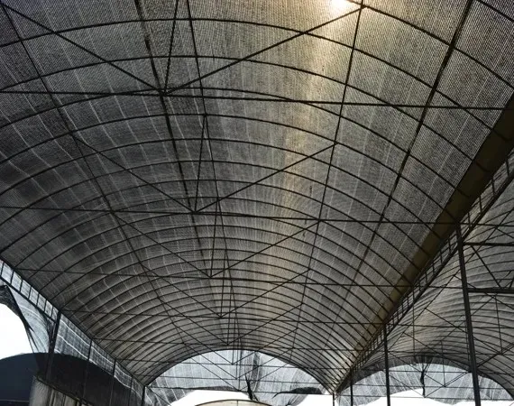 Shade Net for Chinese Medicinal Herbs