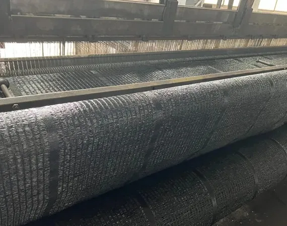 Shade Net for Edible Mushrooms