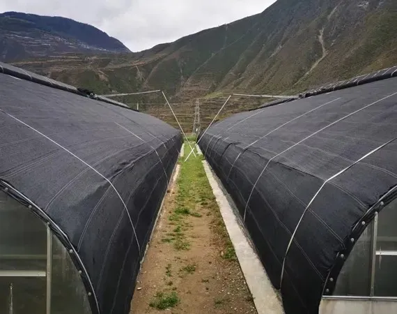 Sunshade Nets For Regulating Plant Growth