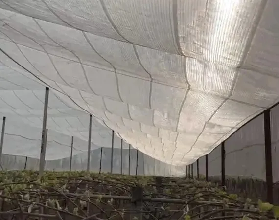 Frost Netting
