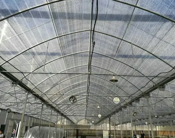 Shade Net for Vegetables