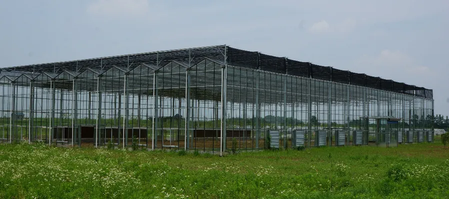 Durable Weather Resistance